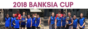 Banksia Cup Header.png